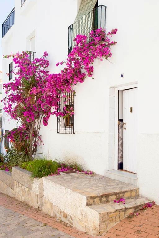 La Casa De Alicia Villa ซาโลเบรญา ภายนอก รูปภาพ